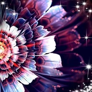 Meet your Posher, Stacie